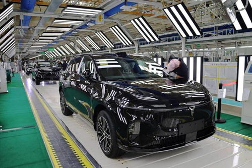 嵐圖汽車雙工廠火力全開，單日產能突破800輛，加速布局汽車市場